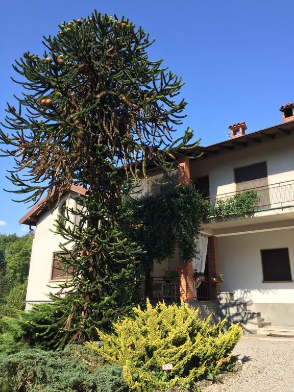 La Casa Creativa Bed and Breakfast Lomnago Exterior foto